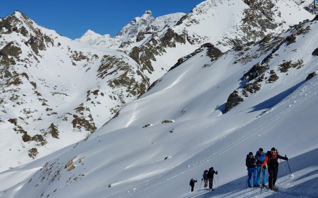 Sci alpinismo